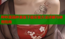 哔咔漫画仲夏版下载安装方法详解与使用指南
