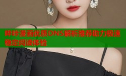 哔咔漫画优质DNS解析推荐助力极速稳定阅读体验