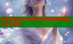 移动数据无法访问哔咔漫画的原因及解决方法详解