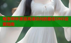 畅享哔咔漫画高速访问的最佳DNS设置指南