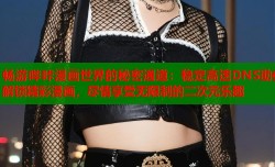 畅游哔咔漫画世界的秘密通道：稳定高速DNS助你解锁精彩漫画，尽情享受无限制的二次元乐趣