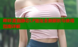 哔咔漫画静态LP地址全新解析与使用指南详解