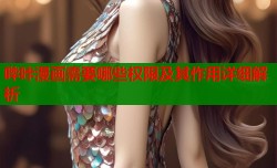 哔咔漫画需要哪些权限及其作用详细解析