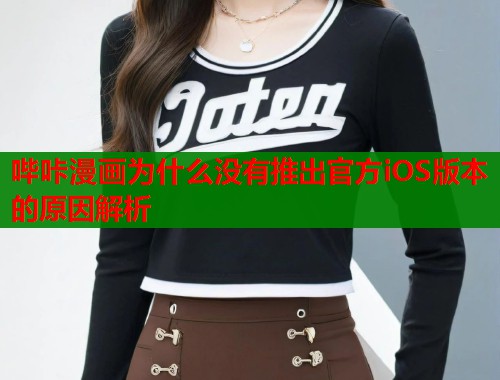 哔咔漫画为什么没有推出官方iOS版本的原因解析 第2张 哔咔漫画为什么没有推出官方iOS版本的原因解析 第2张