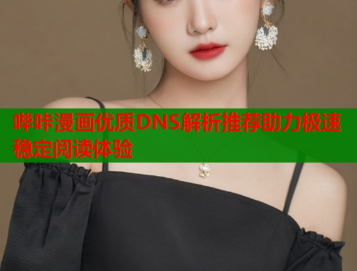 哔咔漫画优质DNS解析推荐助力极速稳定阅读体验 第1张 哔咔漫画优质DNS解析推荐助力极速稳定阅读体验 第1张